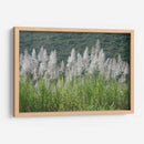 Caña de azúcar - PilVaz | Cuadro decorativo de Canvas Lab