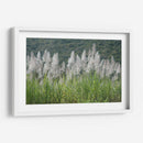 Caña de azúcar - PilVaz | Cuadro decorativo de Canvas Lab