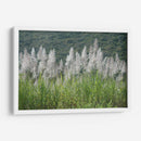 Caña de azúcar - PilVaz | Cuadro decorativo de Canvas Lab