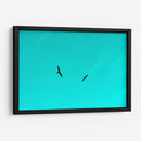 Vuelo en pareja entre Celeste - FErB | Cuadro decorativo de Canvas Lab