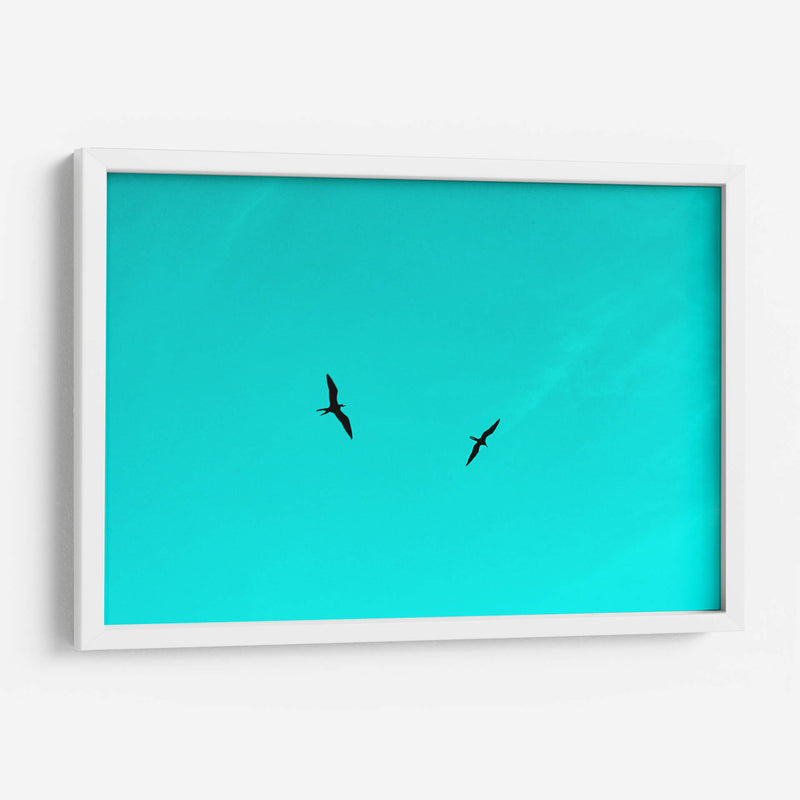 Vuelo en pareja entre Celeste - FErB | Cuadro decorativo de Canvas Lab