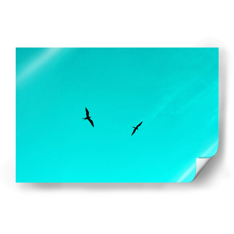 Vuelo en pareja entre Celeste - FErB | Cuadro decorativo de Canvas Lab
