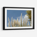 Espigas - PilVaz | Cuadro decorativo de Canvas Lab