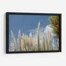Espigas - PilVaz | Cuadro decorativo de Canvas Lab