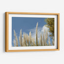 Espigas - PilVaz | Cuadro decorativo de Canvas Lab