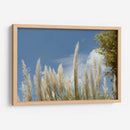 Espigas - PilVaz | Cuadro decorativo de Canvas Lab
