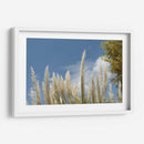 Espigas - PilVaz | Cuadro decorativo de Canvas Lab
