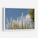 Espigas - PilVaz | Cuadro decorativo de Canvas Lab