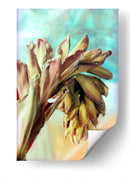 Estaciones - PilVaz | Cuadro decorativo de Canvas Lab