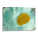 Suave concha de mar - FErB | Cuadro decorativo de Canvas Lab