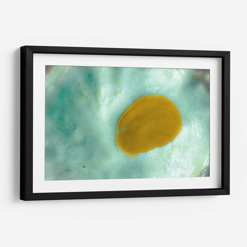 Suave concha de mar - FErB | Cuadro decorativo de Canvas Lab