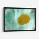 Suave concha de mar - FErB | Cuadro decorativo de Canvas Lab