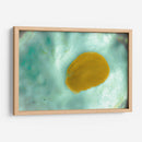 Suave concha de mar - FErB | Cuadro decorativo de Canvas Lab