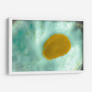 Suave concha de mar - FErB | Cuadro decorativo de Canvas Lab