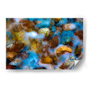 Pintadas de tomas celestes blancos y ocres - FErB | Cuadro decorativo de Canvas Lab