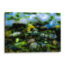 Dulces verdes del mar - FErB | Cuadro decorativo de Canvas Lab