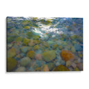 Pintados y reflejos - FErB | Cuadro decorativo de Canvas Lab