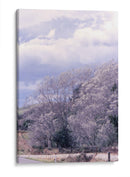 NZ - PilVaz | Cuadro decorativo de Canvas Lab