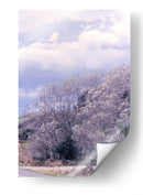 NZ - PilVaz | Cuadro decorativo de Canvas Lab