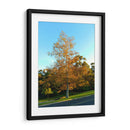 Otoño - PilVaz | Cuadro decorativo de Canvas Lab