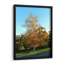 Otoño - PilVaz | Cuadro decorativo de Canvas Lab