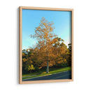 Otoño - PilVaz | Cuadro decorativo de Canvas Lab