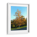 Otoño - PilVaz | Cuadro decorativo de Canvas Lab