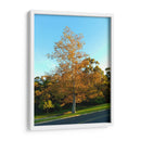 Otoño - PilVaz | Cuadro decorativo de Canvas Lab