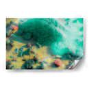 Componiemdo diseños naturales - FErB | Cuadro decorativo de Canvas Lab