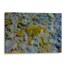 Azules cobaltos verdes y rojizos - FErB | Cuadro decorativo de Canvas Lab