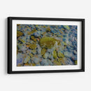 Azules cobaltos verdes y rojizos - FErB | Cuadro decorativo de Canvas Lab