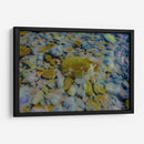 Azules cobaltos verdes y rojizos - FErB | Cuadro decorativo de Canvas Lab