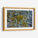 Azules cobaltos verdes y rojizos - FErB | Cuadro decorativo de Canvas Lab