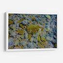 Azules cobaltos verdes y rojizos - FErB | Cuadro decorativo de Canvas Lab