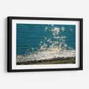 Destellos del mar - FErB | Cuadro decorativo de Canvas Lab