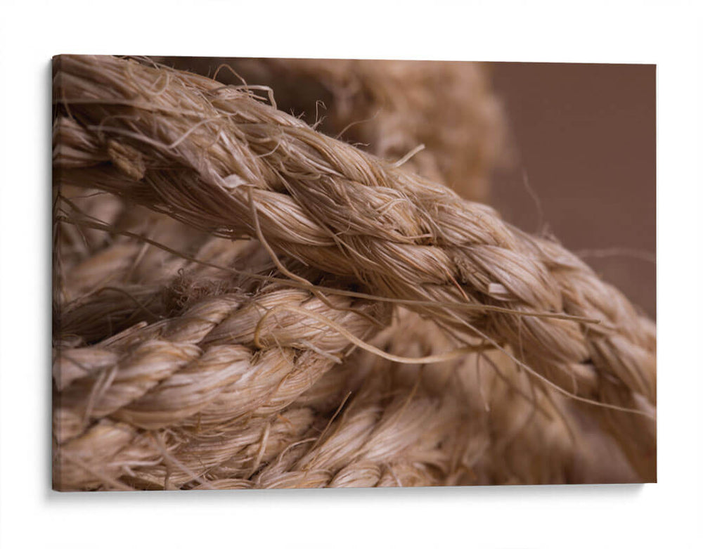Trenza - PilVaz | Cuadro decorativo de Canvas Lab