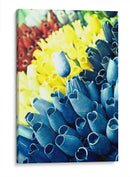 Tulipanes de madera - PilVaz | Cuadro decorativo de Canvas Lab