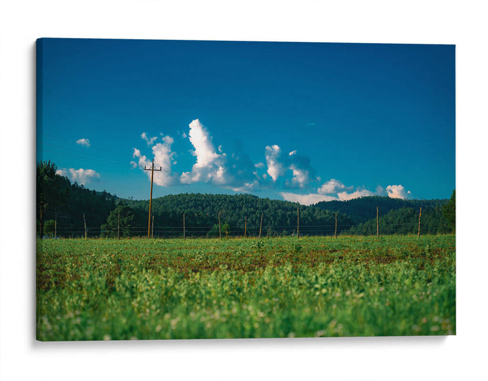 Bosque y nubes - Enrique Estrada | Cuadro decorativo de Canvas Lab