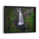 Cascada la campana Mexico - JORGE VARGAS | Cuadro decorativo de Canvas Lab