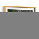 Cascada la campana Mexico - JORGE VARGAS | Cuadro decorativo de Canvas Lab