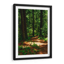 Camino en el bosque - JORGE VARGAS | Cuadro decorativo de Canvas Lab