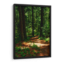 Camino en el bosque - JORGE VARGAS | Cuadro decorativo de Canvas Lab