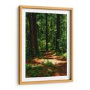 Camino en el bosque - JORGE VARGAS | Cuadro decorativo de Canvas Lab