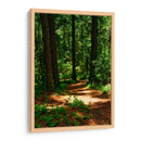 Camino en el bosque - JORGE VARGAS | Cuadro decorativo de Canvas Lab