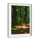 Camino en el bosque - JORGE VARGAS | Cuadro decorativo de Canvas Lab