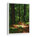 Camino en el bosque - JORGE VARGAS | Cuadro decorativo de Canvas Lab