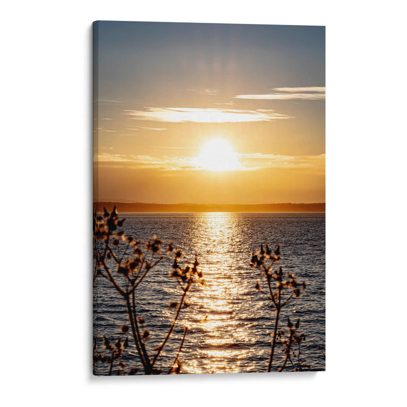 Colores de un atardecer. - Claudia Luna | Cuadro decorativo de Canvas Lab