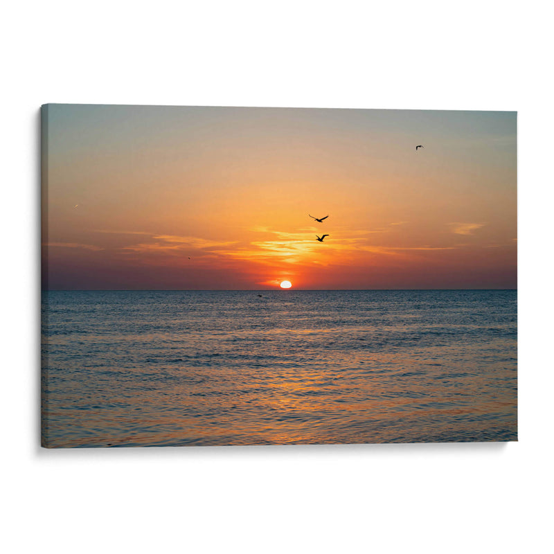 Vuelo en pareja al atardecer en el mar. - Claudia Luna | Cuadro decorativo de Canvas Lab