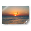 Vuelo en pareja al atardecer en el mar. - Claudia Luna | Cuadro decorativo de Canvas Lab