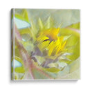 Botón - Imaghinario | Cuadro decorativo de Canvas Lab